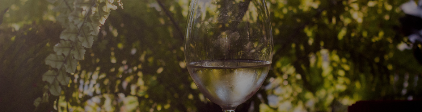 Glass of White Wine in a Bush