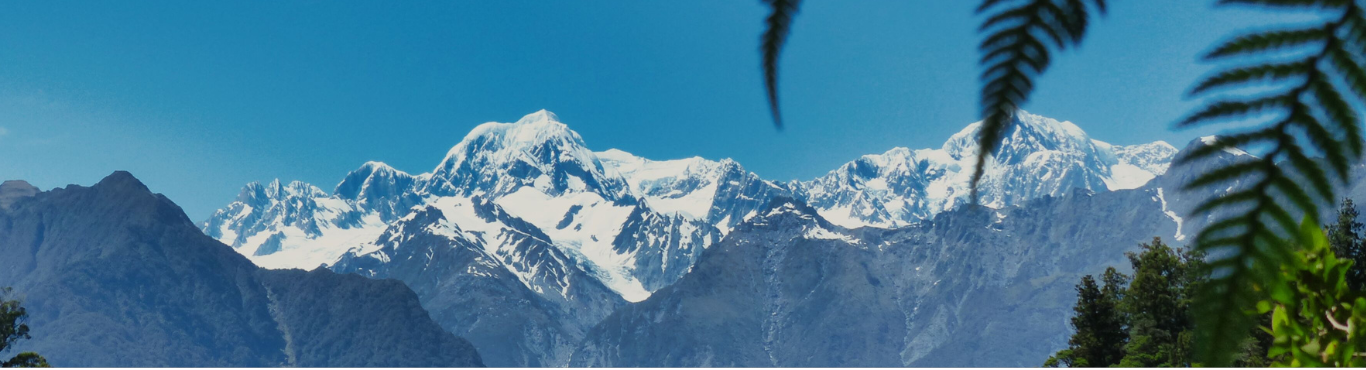 New Zealand Mountain