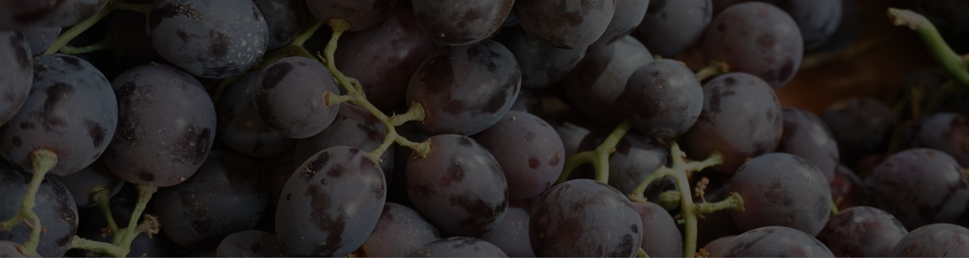 Grapes