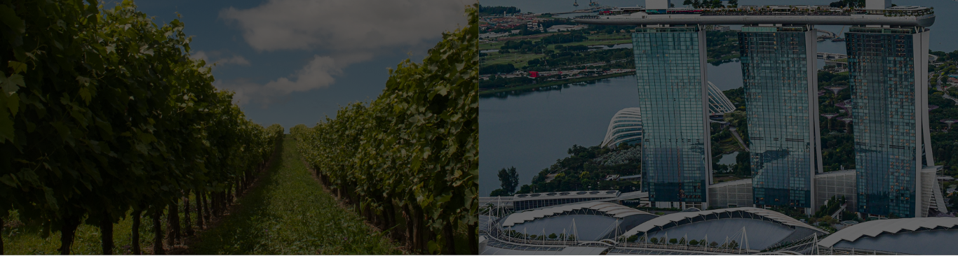 Vineyard-Singapore